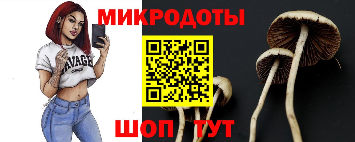 Галлюциногенные грибы GOLDEN TEACHER  Вход с VPN  Дагестанские Огни  Галлюциногенные грибы ЛСД 